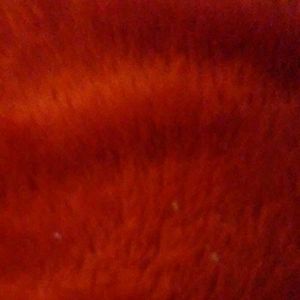 All items below are $8 or $10. Grab while you can.